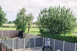 Photo 15- click for photo gallery